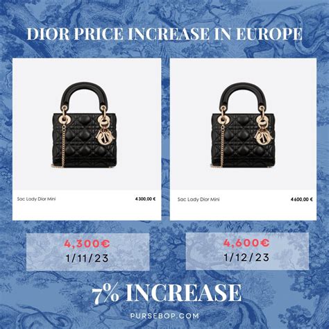 dior 2 teiler|dior bag price guide.